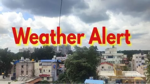 rains in punjab