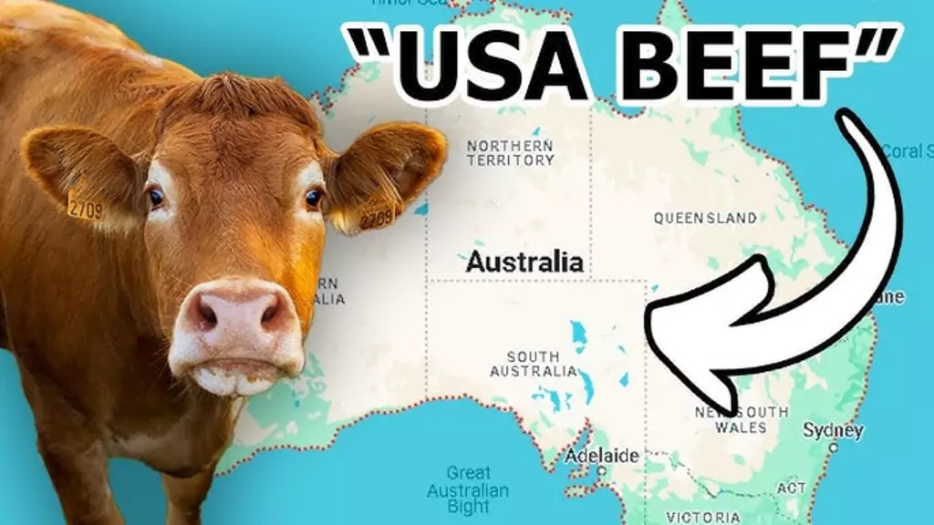 import of american beef